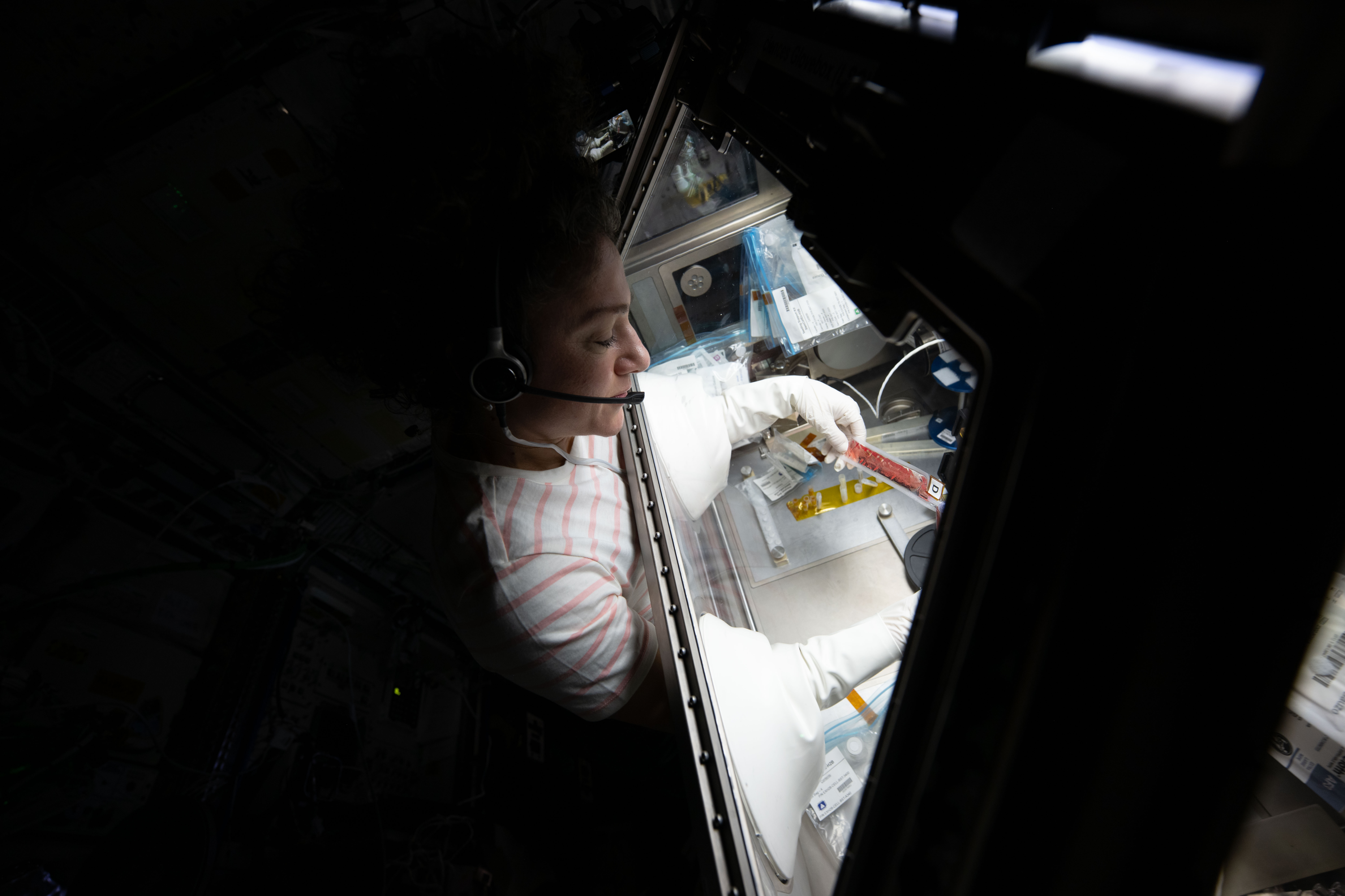 Researcher working with biological samples in an International Space Station life-science facility.